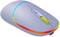 Фото - Мышь беспроводная Canyon MW-22 Dual Band RGB Wireless Mountain Lavender (CNS-CMSW22ML) | click.ua