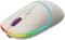 Фото - Мышь беспроводная Canyon MW-22 Dual Band RGB Wireless Rice (CNS-CMSW22RC) | click.ua