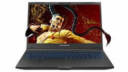 Ноутбук Dream Machines RG3050-15 (RG3050-15UA55) Black