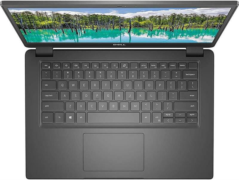 Ноутбук Dell Latitude 3410 (N001L341014GE_UBU) Black