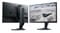 Фото - Монитор Dell 24.5" AW2524HF (210-BJPH) IPS Black 500Hz | click.ua