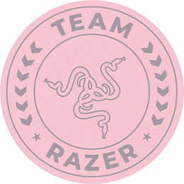 Килимок під крісло Razer Team Floor Rug (RC81-03920300-R3M1)