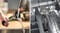 Фото - Блендер Bosch MSM6M821 | click.ua