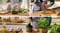 Фото - Блендер Bosch MSM6M821 | click.ua