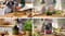 Фото - Блендер Bosch MSM6M871 | click.ua