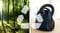 Фото - Пылесос Bosch BGBS2BU1T | click.ua