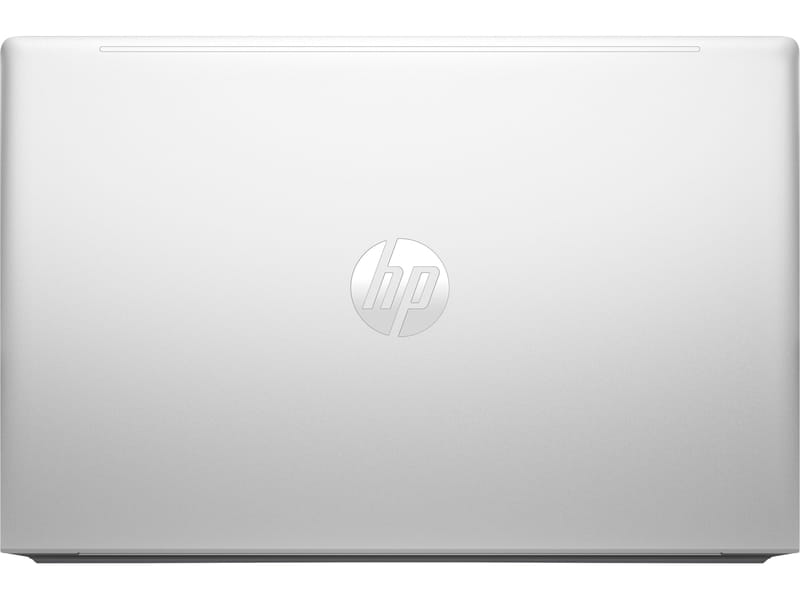 Ноутбук HP ProBook 455 G10 (719F6AV_V2) Silver