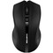 Фото - Миша бездротова Canyon CNE-CMSW05B Black | click.ua