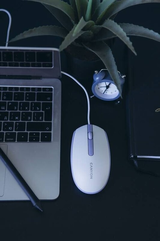 Миша Canyon M-10 USB White Lavender (CNE-CMS10WL)