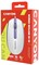 Фото - Миша Canyon M-10 USB White Lavender (CNE-CMS10WL) | click.ua