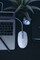 Фото - Миша Canyon M-10 USB White Lavender (CNE-CMS10WL) | click.ua