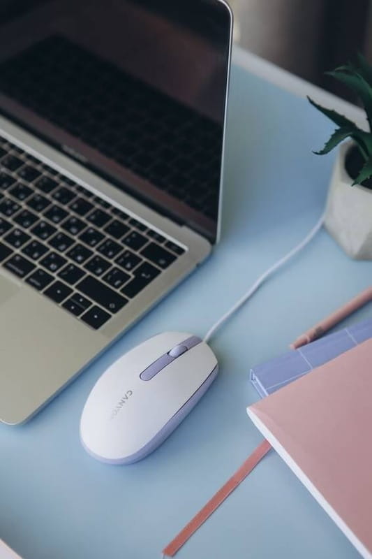 Мышь Canyon M-10 USB White Lavender (CNE-CMS10WL)