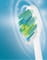 Фото - Насадка для зубної електрощітки Sencor SOX 101 2шт | click.ua