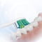 Фото - Насадка для зубной электрощетки Sencor SOX 015 2шт | click.ua