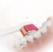 Фото - Насадка для зубної електрощітки Sencor SOX 016 2шт | click.ua