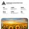 Фото - Захисне скло Armorstandart Pro для Apple iPhone 15 Pro Black, 0.33mm, 3D (ARM68219) | click.ua