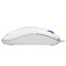 Фото - Миша A4Tech N-530 White | click.ua