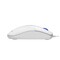 Фото - Миша A4Tech N-530S White | click.ua