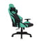 Фото - Крісло для геймерів 1stPlayer WIN101 Black-Green | click.ua