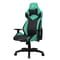 Фото - Кресло для геймеров 1stPlayer WIN101 Black-Green | click.ua