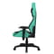 Фото - Крісло для геймерів 1stPlayer WIN101 Black-Green | click.ua