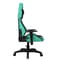 Фото - Крісло для геймерів 1stPlayer WIN101 Black-Green | click.ua