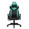 Фото - Крісло для геймерів 1stPlayer WIN101 Black-Green | click.ua
