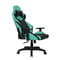 Фото - Крісло для геймерів 1stPlayer WIN101 Black-Green | click.ua