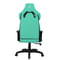 Фото - Крісло для геймерів 1stPlayer WIN101 Black-Green | click.ua