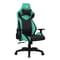 Фото - Крісло для геймерів 1stPlayer WIN101 Black-Green | click.ua