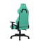 Фото - Крісло для геймерів 1stPlayer WIN101 Black-Green | click.ua
