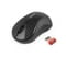 Фото - Мышь беспроводная A4Tech G3-270N-1 Black V-Track | click.ua