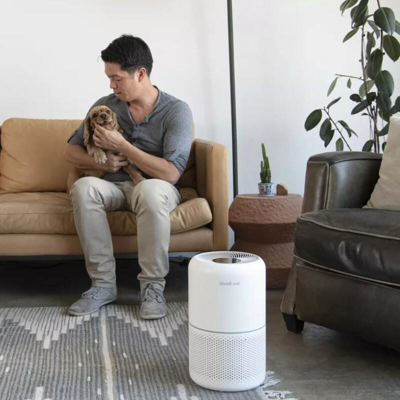 Очиститель воздуха Levoit Air Purifier Core P350 Pet Care (HEAPAPLVNEU0035)