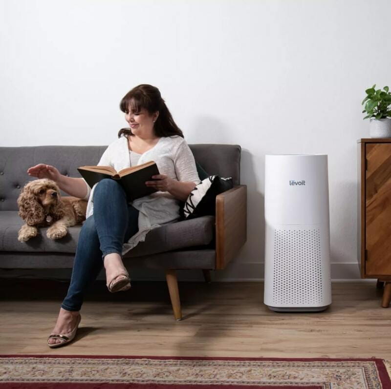 Очищувач повітря Levoit Air Purifier LV-H134-RWH (HEAPAPLVNEU0040)