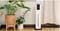 Фото - Зволожувач повітря Levoit Oasis Mist 1000S Smart Ultrasonic Cool Mist Tower LUH-M10 (HEAPHULVSEU0082Y) | click.ua