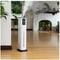 Фото - Увлажнитель воздуха Levoit Oasis Mist 1000S Smart Ultrasonic Cool Mist Tower LUH-M10 (HEAPHULVSEU0082Y) | click.ua