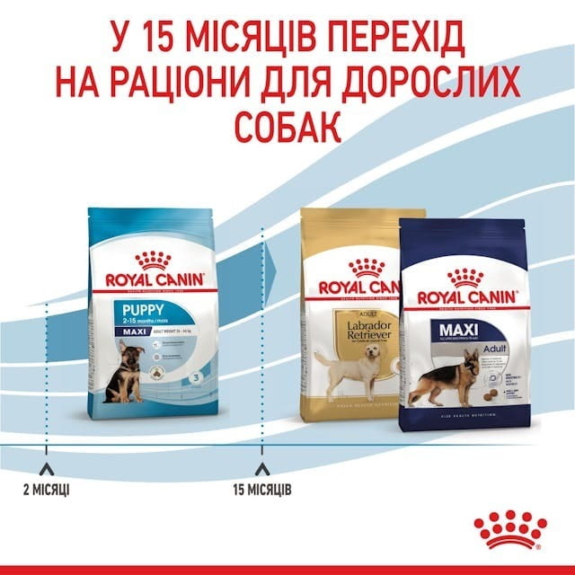 Сухой корм для собак Royal Canin Maxi Puppy 4 кг (30060400)