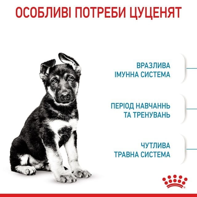 Сухой корм для собак Royal Canin Maxi Puppy 4 кг (30060400)