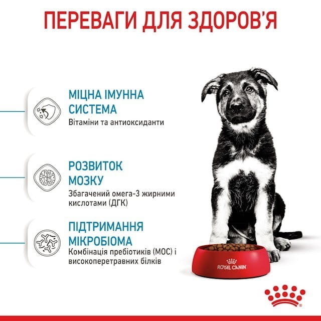 Сухий корм для собак Royal Canin Maxi Puppy 1 кг (30060101)