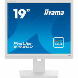 Монітор Iiyama 19" ProLite B1980D-W5 TN White