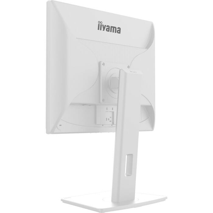 Монітор Iiyama 19" ProLite B1980D-W5 TN White