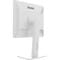 Фото - Монітор Iiyama 19" ProLite B1980D-W5 TN White | click.ua
