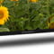 Фото - Телевiзор Thomson Android TV 32" HD 32HA2S13 | click.ua