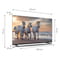 Фото - Телевизор Thomson Android TV 55" UHD 55UA5S13 | click.ua