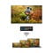 Фото - Телевiзор Thomson Android TV 43" QLED 43QA2S13 | click.ua