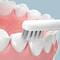 Фото - Насадки для зубной щетки Xiaomi Enchen T501 | click.ua