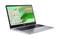 Фото - Ноутбук Acer Chromebook 315 CB315-5H-C68B (NX.KPPEU.001) Silver | click.ua