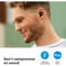 Фото - Bluetooth-гарнитура Sennheiser CX Plus True Wireless Black (509188) | click.ua