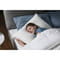 Фото - Наушники Anker SoundCore Sleep A10 White (A6610G21) | click.ua