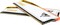 Фото - Модуль пам`яті DDR5 2x24GB/6000 Patriot Viper Elite 5 RGB TUF (PVER548G60C36KT) | click.ua
